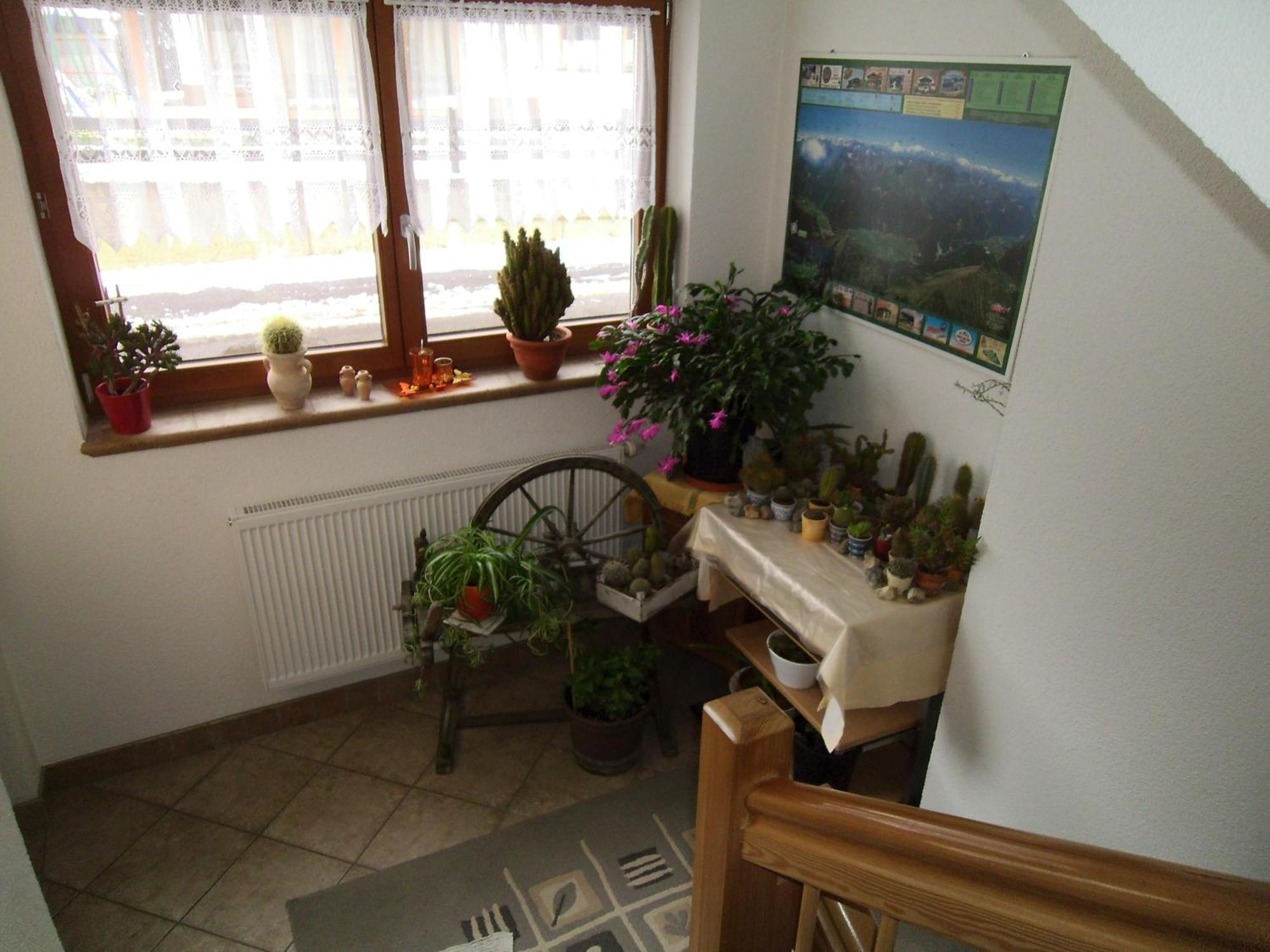 Haus Weidmannsheil Daire Längenfeld Dış mekan fotoğraf